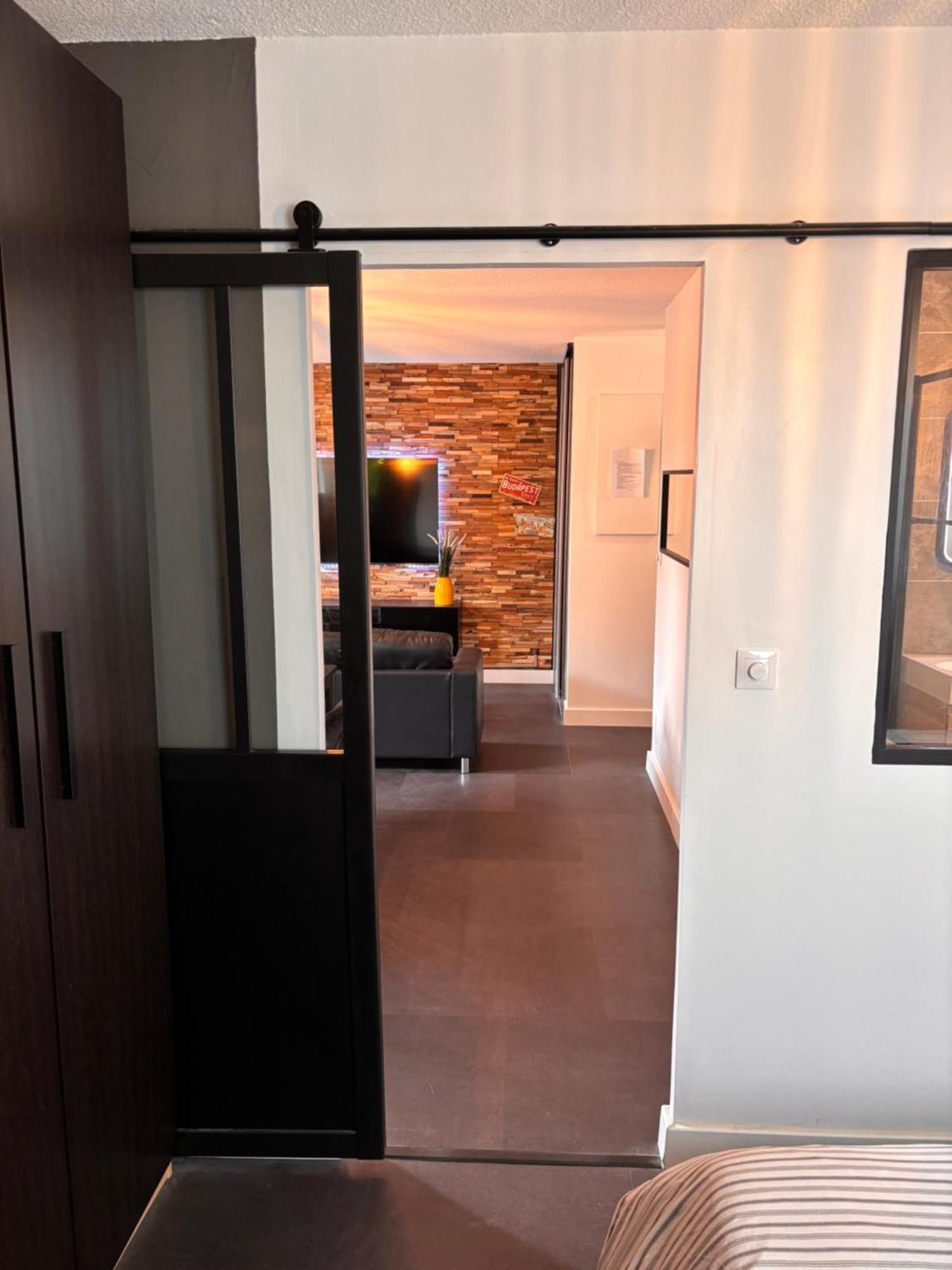 Charmant Appartement Тулуза Экстерьер фото