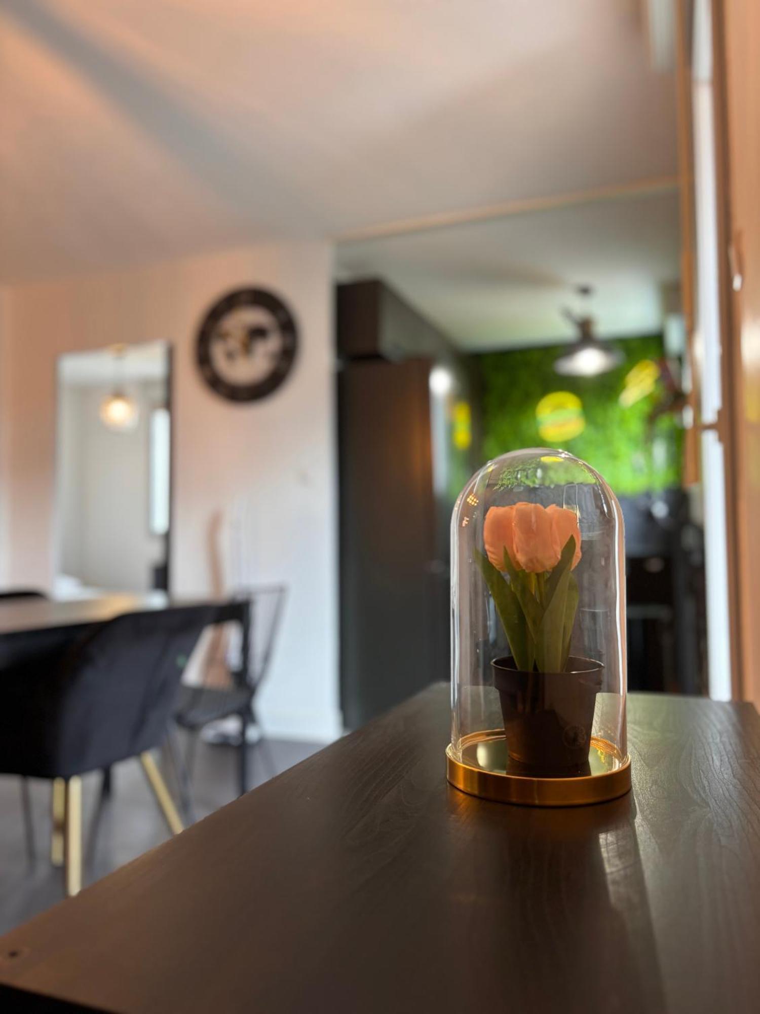 Charmant Appartement Тулуза Экстерьер фото